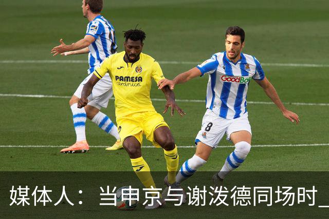 媒体人:当申京与谢泼德同场时 火箭的挡拆防守会被对手无情摧毁